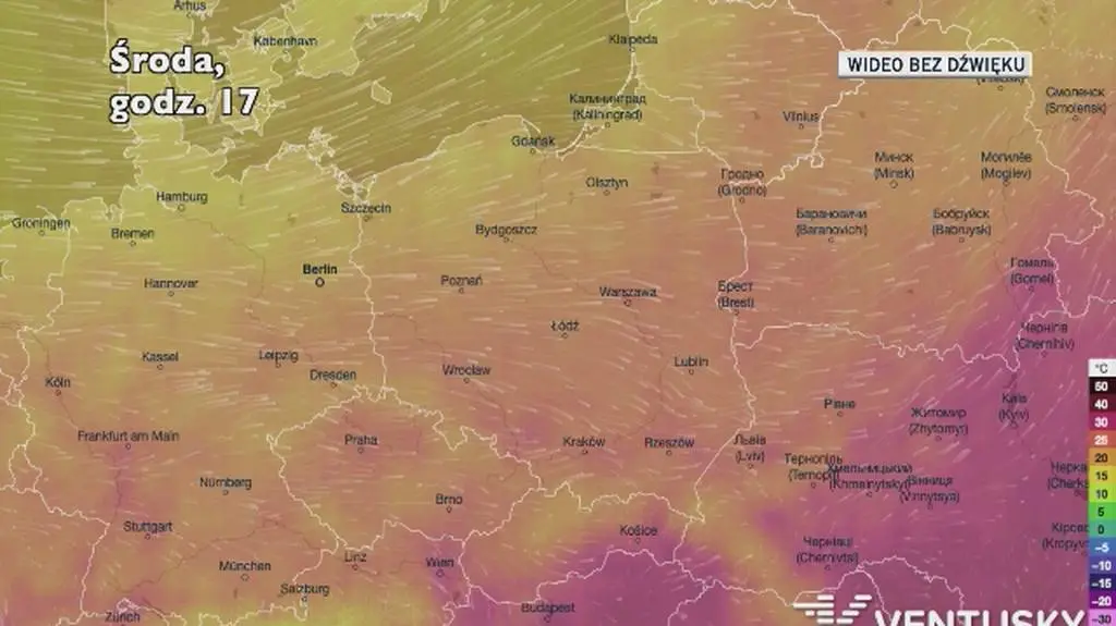 Prognozowana temperatura w najbliższych dniach
