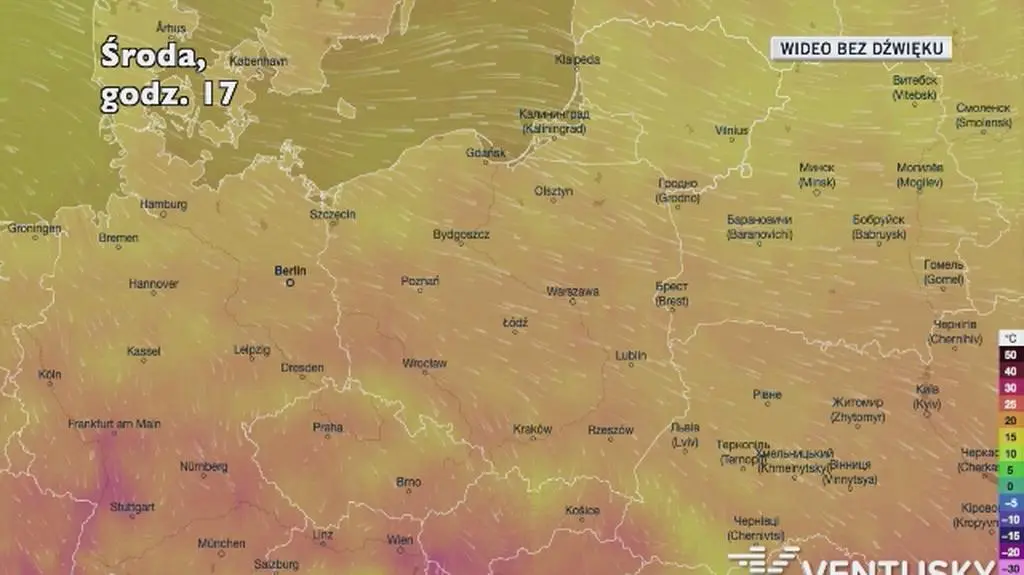 Prognozowana temperatura w najbliższych dniach