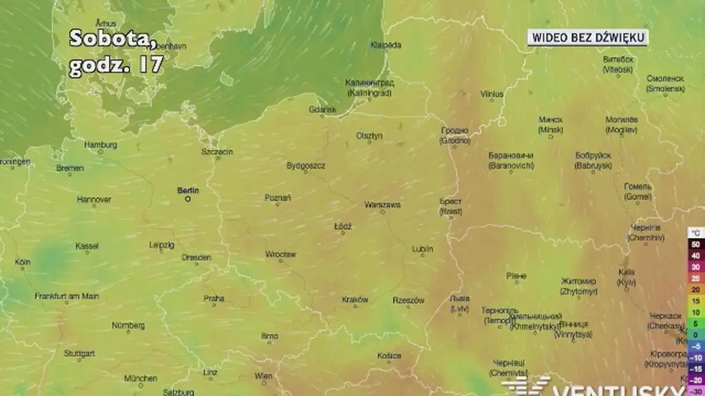 Prognozowana temperatura w najbliższych dniach