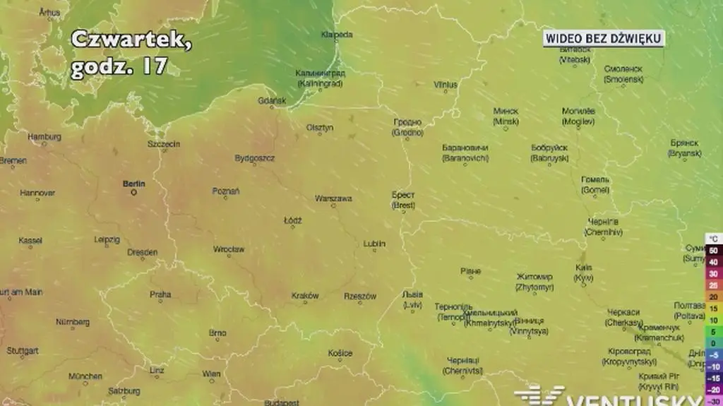 Prognozowana temperatura w najbliższych dniach