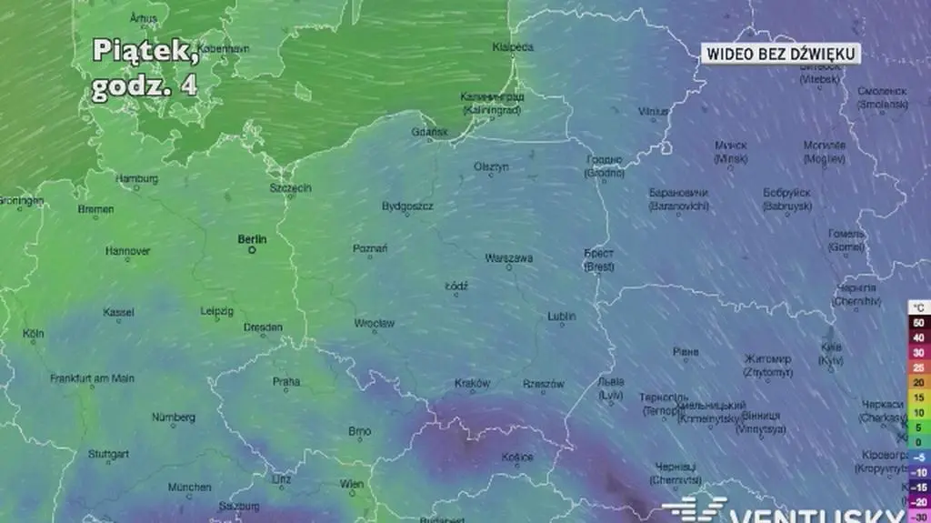 Prognozowana temperatura w najbliższych dniach