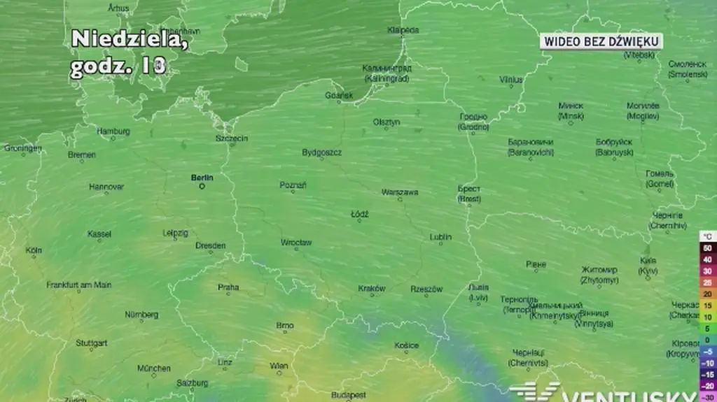 Prognozowana temperatura w najbliższych dniach