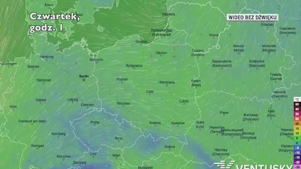 Prognozowana temperatura w najbliższych dniach