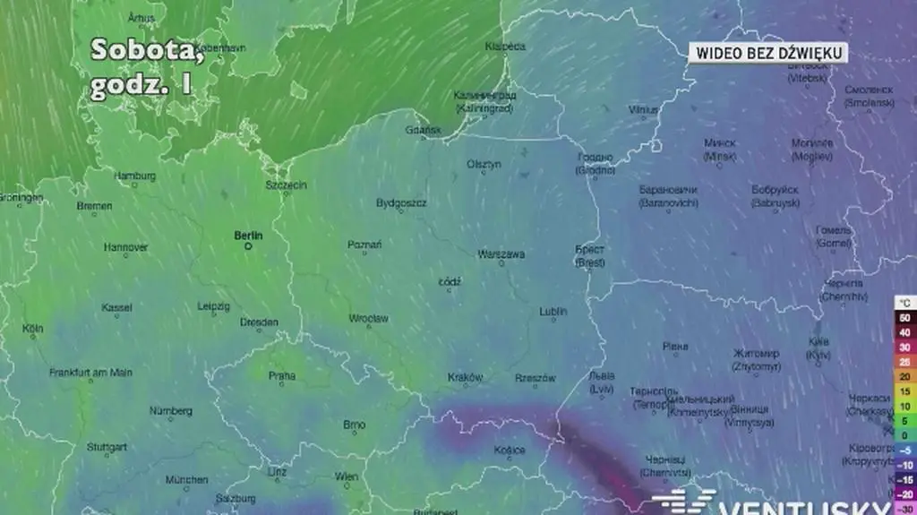 Prognozowana temperatura w najbliższych dniach