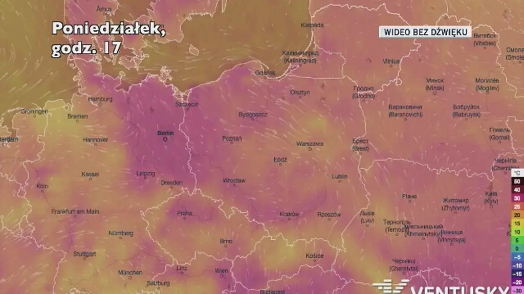 Prognozowana temperatura w najbliższych dniach