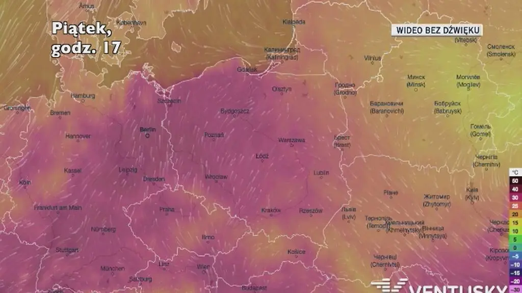 Prognozowana temperatura w najbliższych dniach