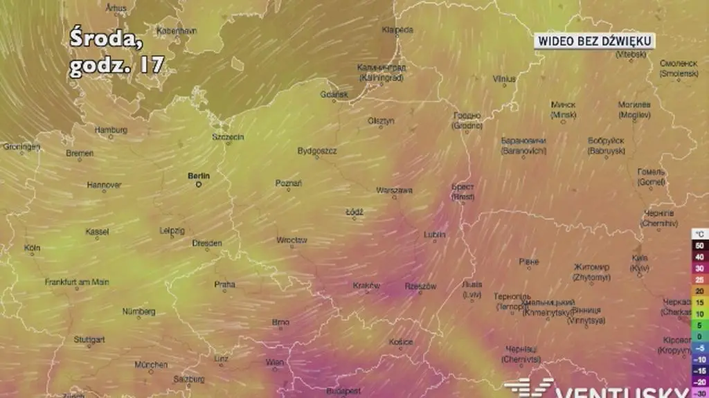 Prognozowana temperatura w najbliższych dniach