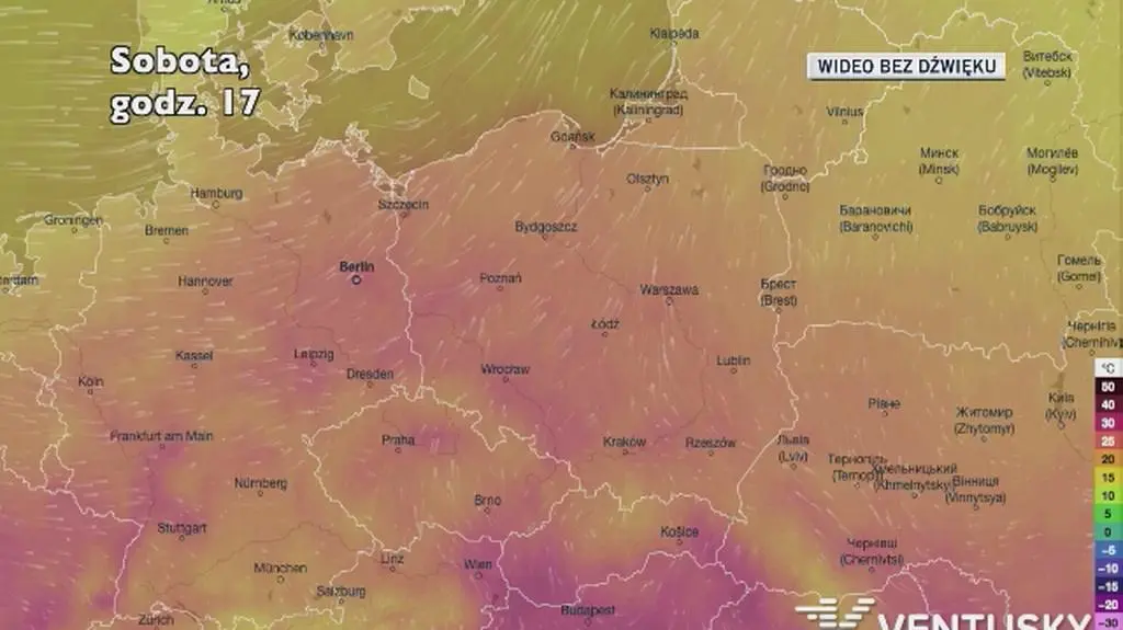 Prognozowana temperatura w najbliższych dniach