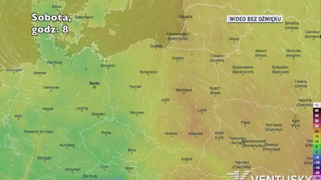Prognozowana temperatura w najbliższych dniach