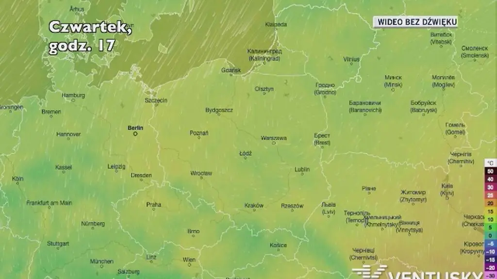 Prognozowana temperatura w najbliższych dniach