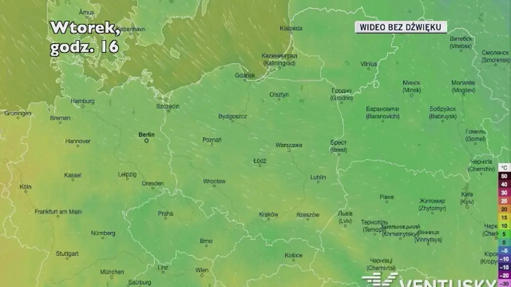 Prognozowana temperatura w najbliższych dniach