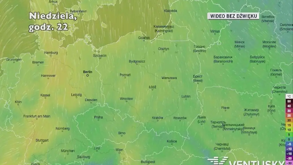 Prognozowana temperatura w najbliższych dniach