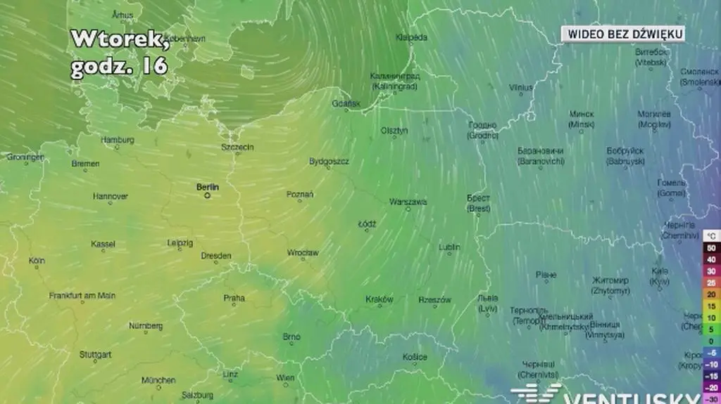 Prognozowana temperatura w najbliższych dniach