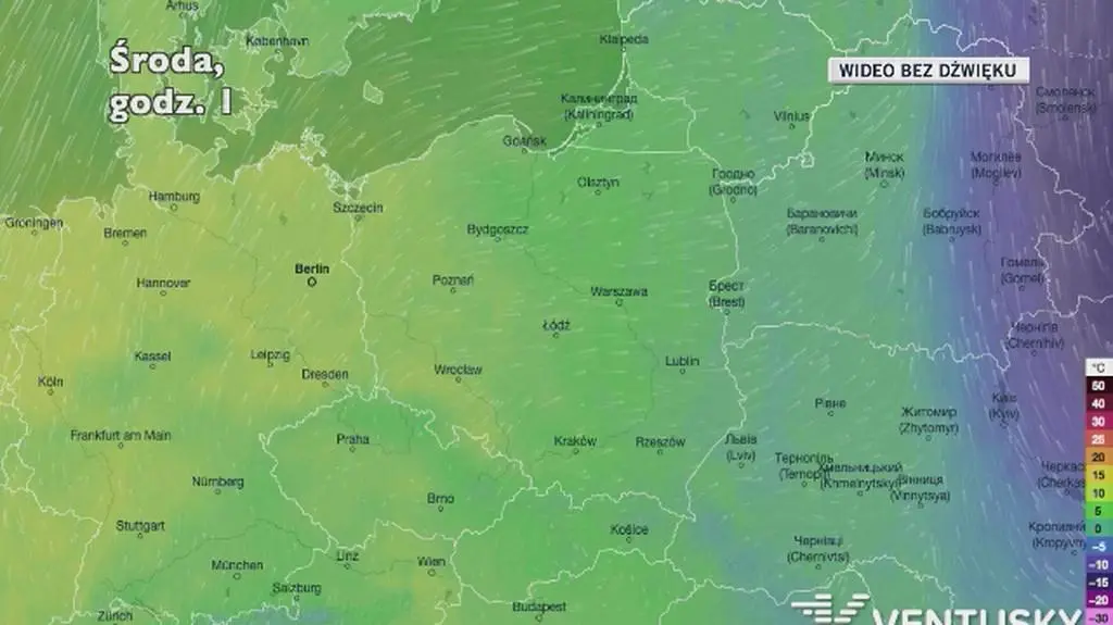 Prognozowana temperatura w najbliższych dniach