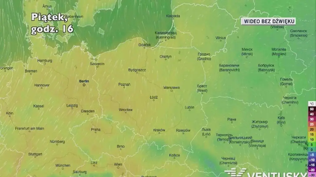 Prognozowana temperatura w najbliższych dniach