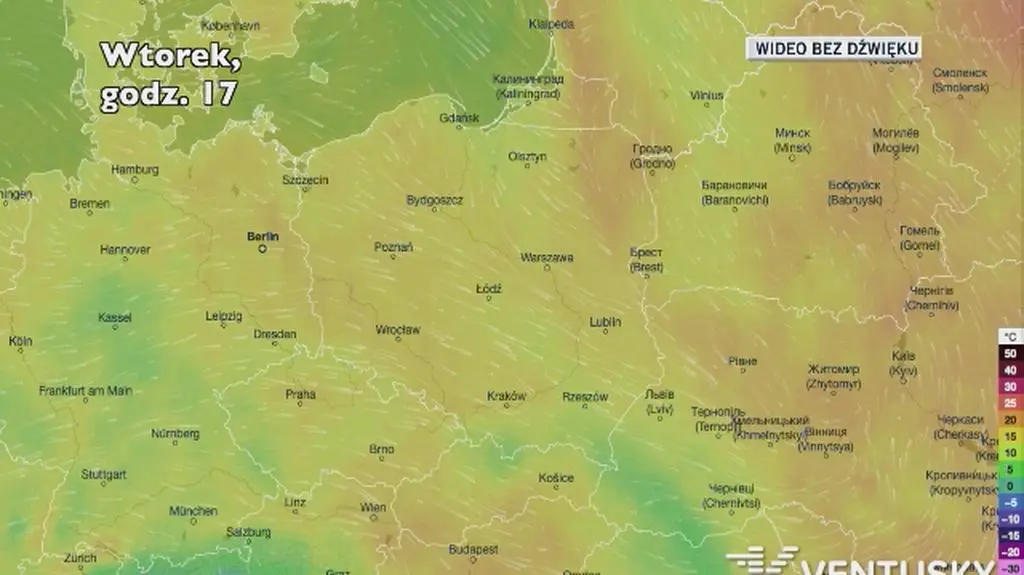 Prognozowana temperatura w najbliższych dniach