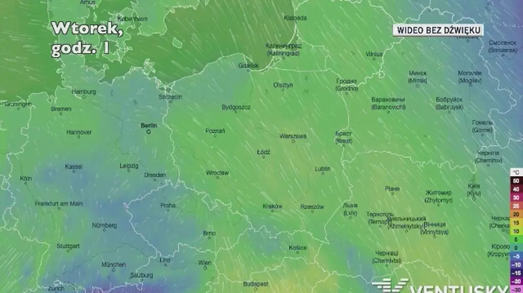 Prognozowana temperatura w najbliższych dniach (Ventusky.com)