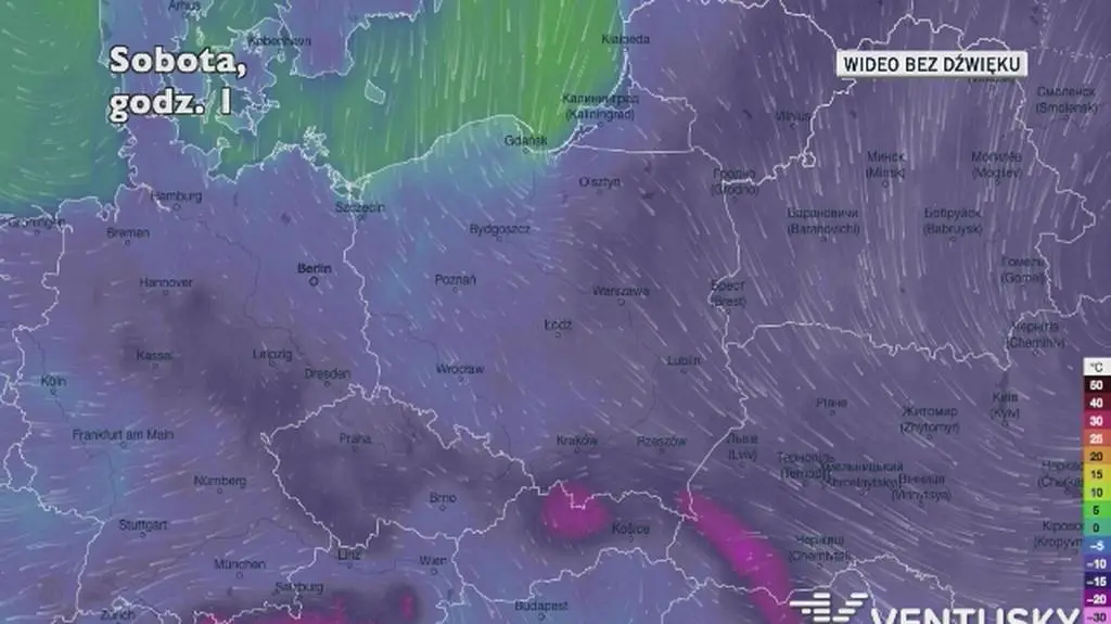 Prognozowana temperatura w najbliższych dniach (Ventusky