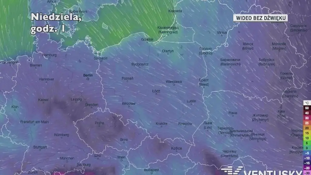 Prognozowana temperatura w najbliższych dniach (Ventusky