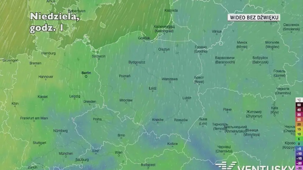 Prognozowana temperatura w najbliższych dniach (Ventusky
