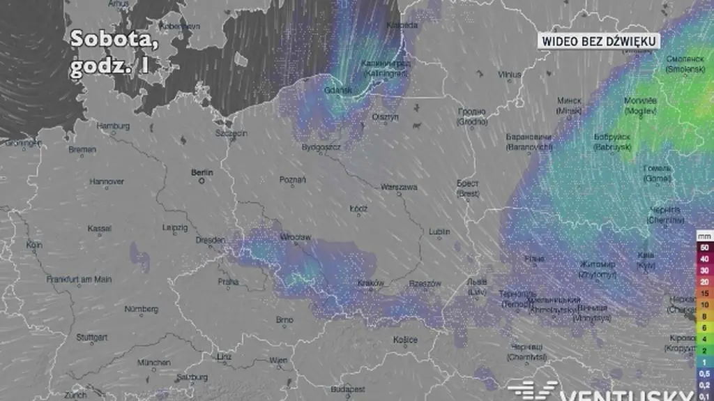 Prognozowane opady w ciągu najbliższych dni (Ventusky