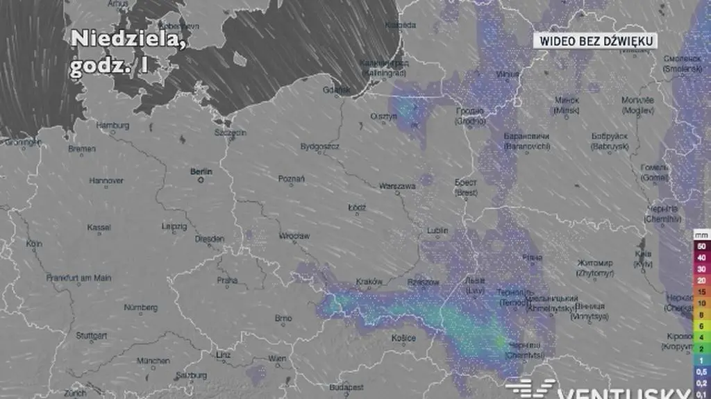 Prognozowane opady w ciągu najbliższych dni (Ventusky