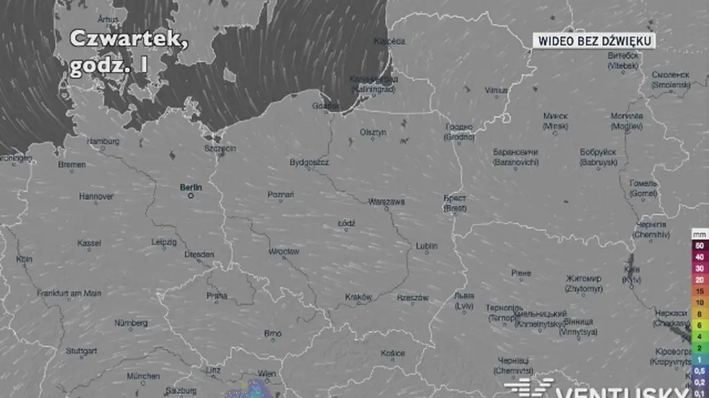 Prognozowane opady w ciągu najbliższych dni (Ventusky.com)