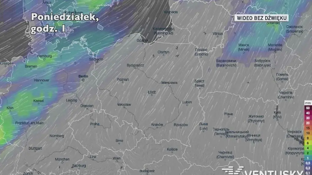 Prognozowane opady w ciągu najbliższych dni (Ventusky.com)