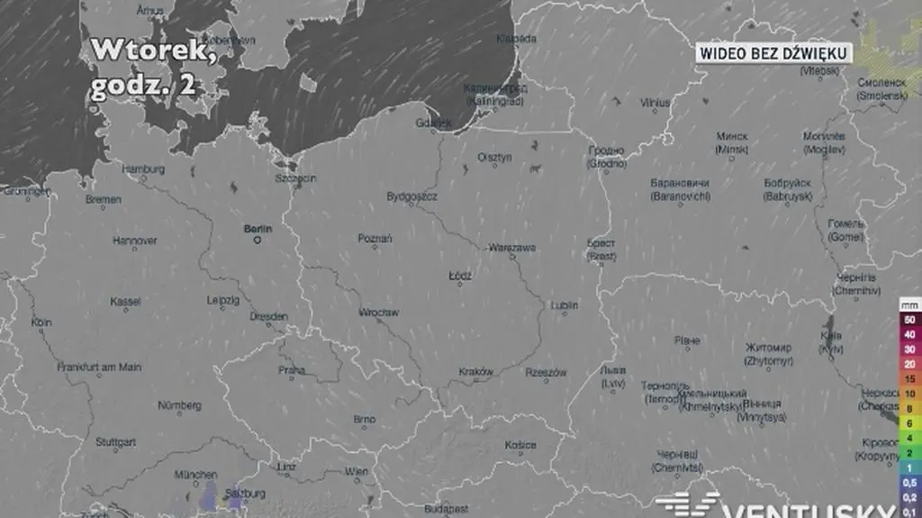 Prognozowane opady w ciągu najbliższych dni (Ventusky