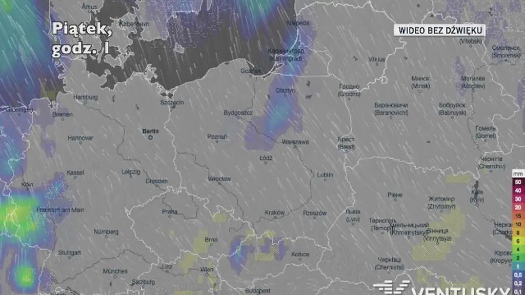 Prognozowane opady w ciągu najbliższych dni (Ventusky