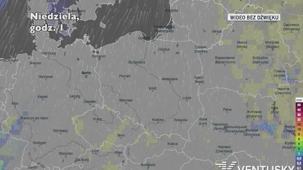 Prognozowane opady w ciągu najbliższych dni (Ventusky