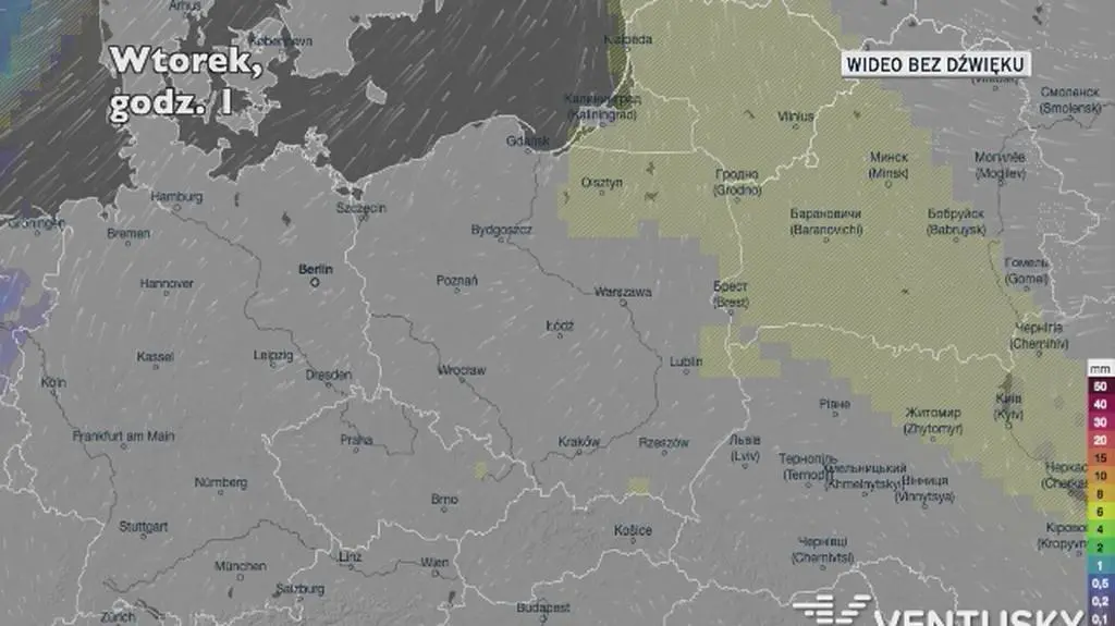 Prognozowane opady w ciągu najbliższych dni (Ventusky.com)