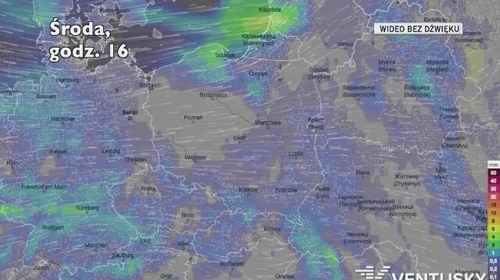 Prognozowane opady w kolejnych dniach (Ventusky.com)