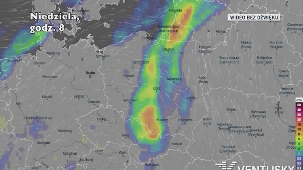 Prognozowane opady w kolejnych dniach (Ventusky