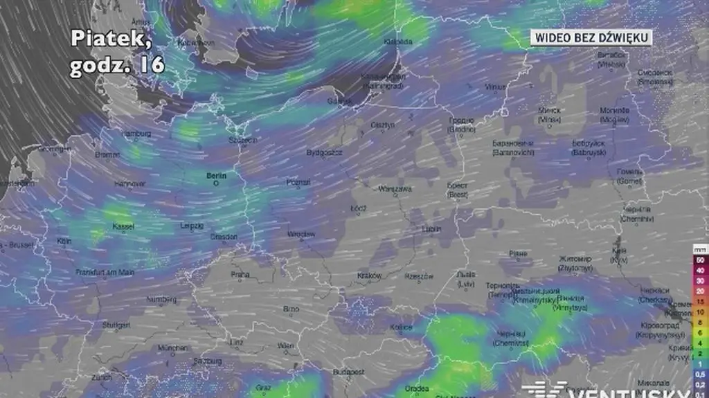 Prognozowane opady w kolejnych dniach (Ventusky.com)