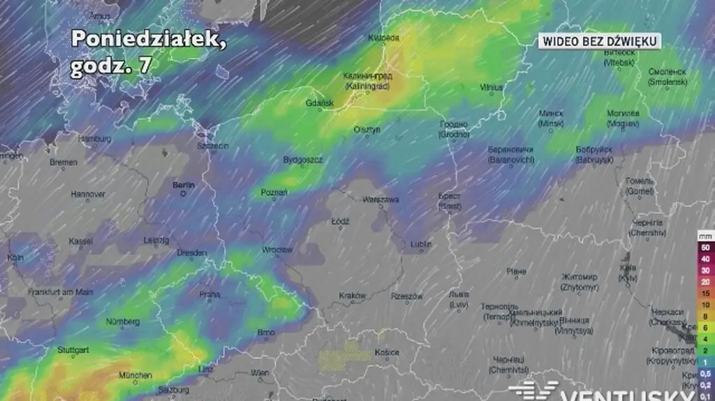Prognozowane opady w kolejnych dniach (Ventusky.com)