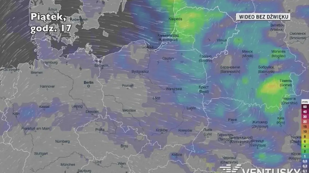 Prognozowane opady w kolejnych dniach (Ventusky