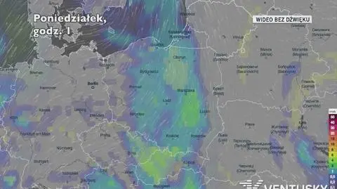 Prognozowane opady w kolejnych dniach (Ventusky.com)