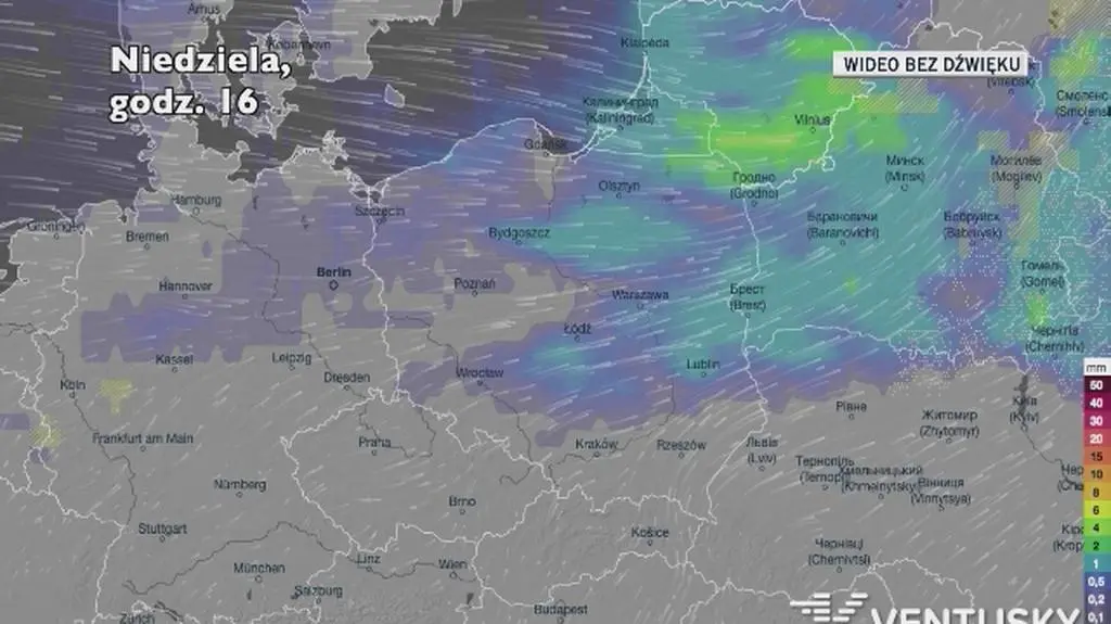 Prognozowane opady w kolejnych dniach (Ventusky.com)