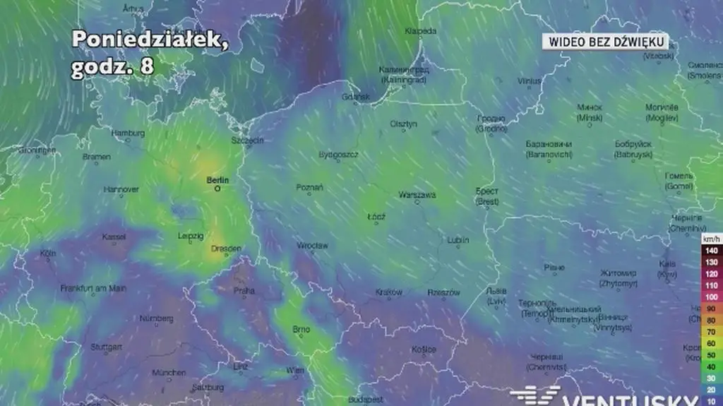 Prognozowane porywy wiatru w ciągu kolejnych dni (Ventusky)