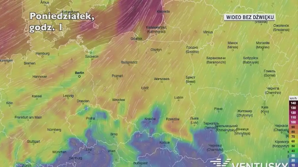 Prognozowane porywy wiatru w ciągu najbliższych dni (Ventusky.com)