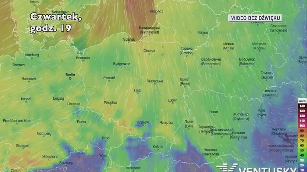 Prognozowane porywy wiatru w czwartek (Ventusky)