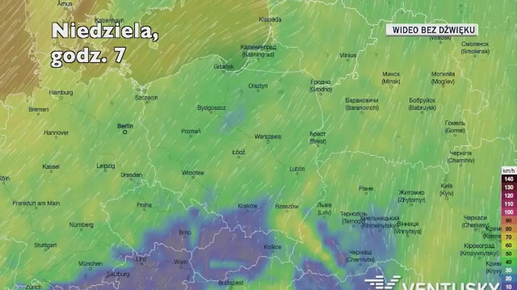 Prognozowane porywy wiatru w kolejnych dniach (Ventusky.com)