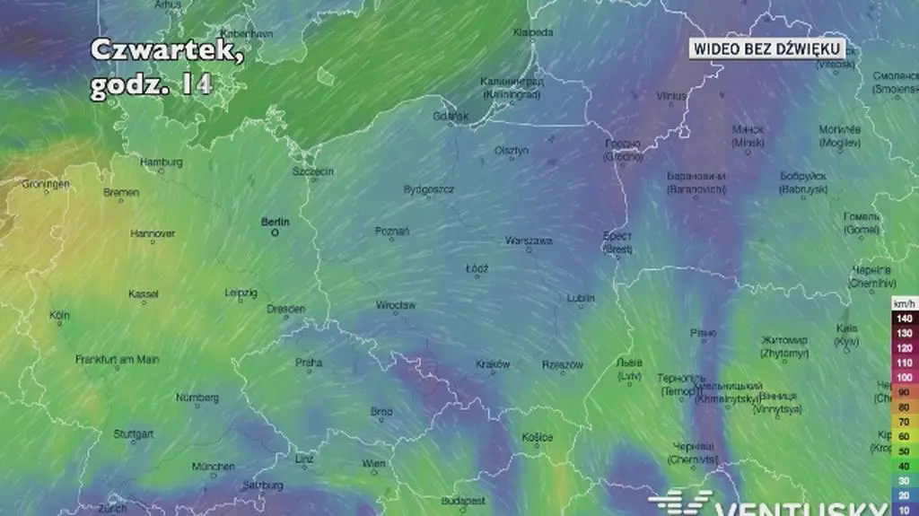 Prognozowane porywy wiatru w kolejnych dniach (Ventusky.com)