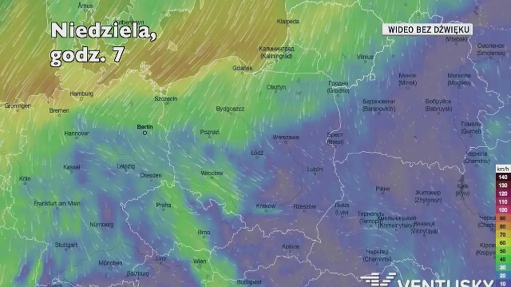 Prognozowane porywy wiatru w kolejnych dniach (Ventusky.com)