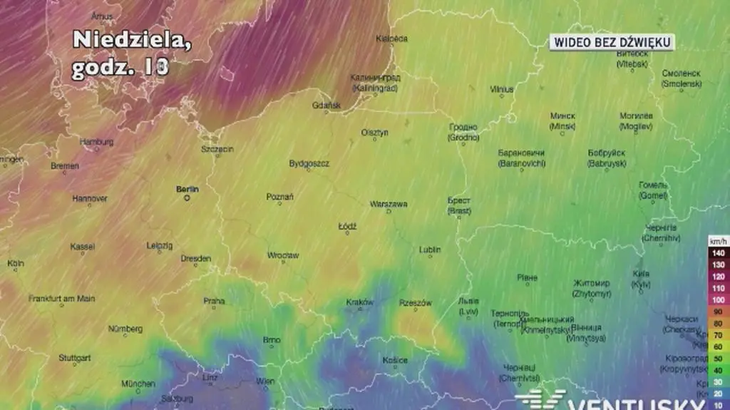 Prognozowane porywy wiatru w kolejnych dniach (Ventusky.com)