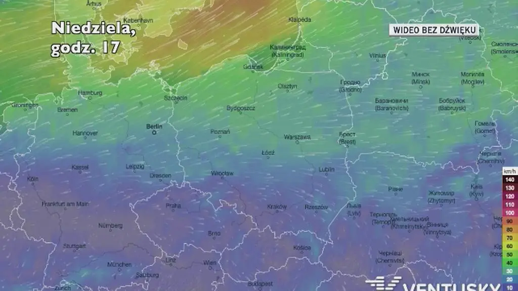 Prognozowane porywy wiatru w kolejnych dniach (Ventusky