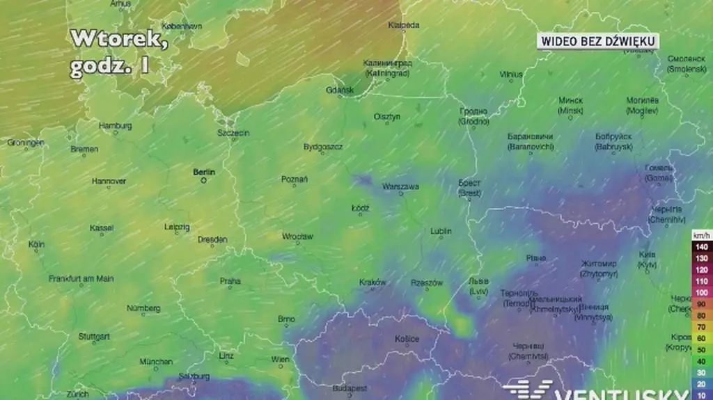 Prognozowane porywy wiatru w najbliższych dniach