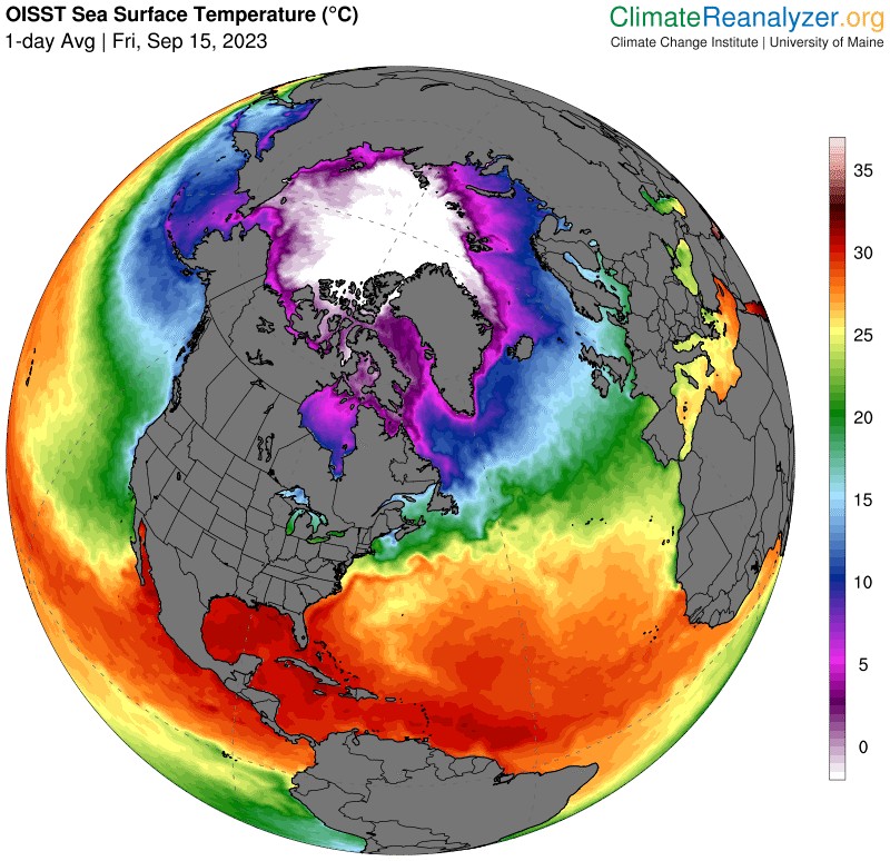 Temperatura wód powierzchniowych Oceanu Atlantyckiego