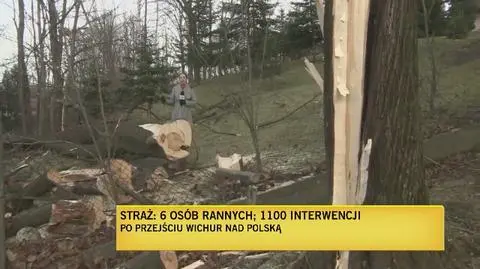 Ranne dzieci po wichurach